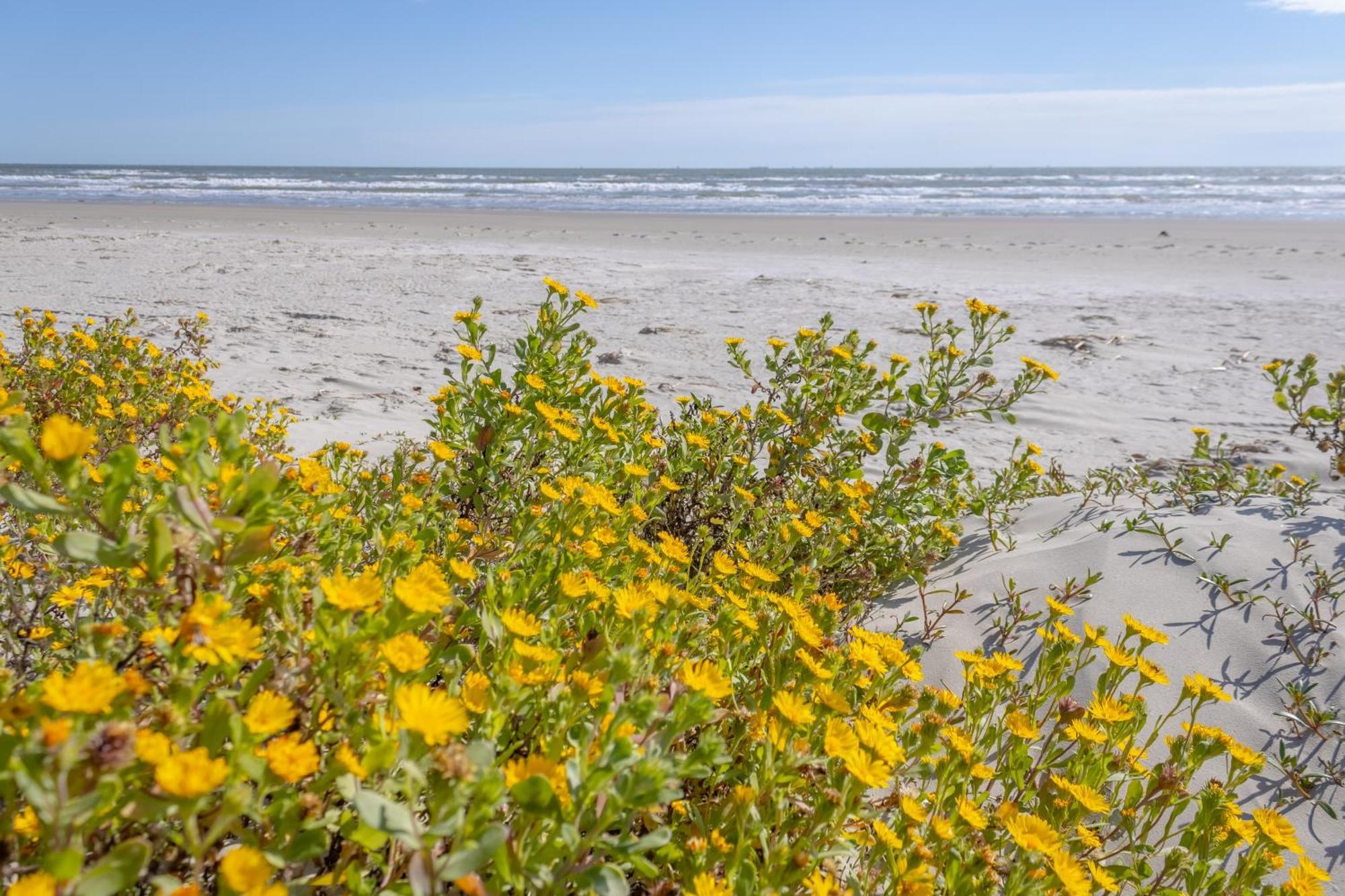 Islander East Condominiums Galveston Zewnętrze zdjęcie